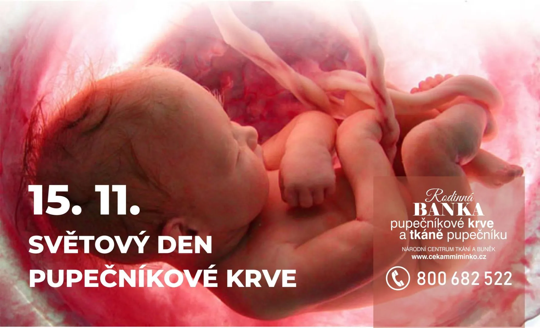 Dnes je významný sviatok: Svetový deň pupočníkovej krvi