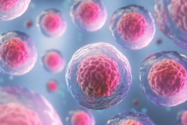 Krvotvorné kmeňové bunky môžu liečiť závažné ochorenia